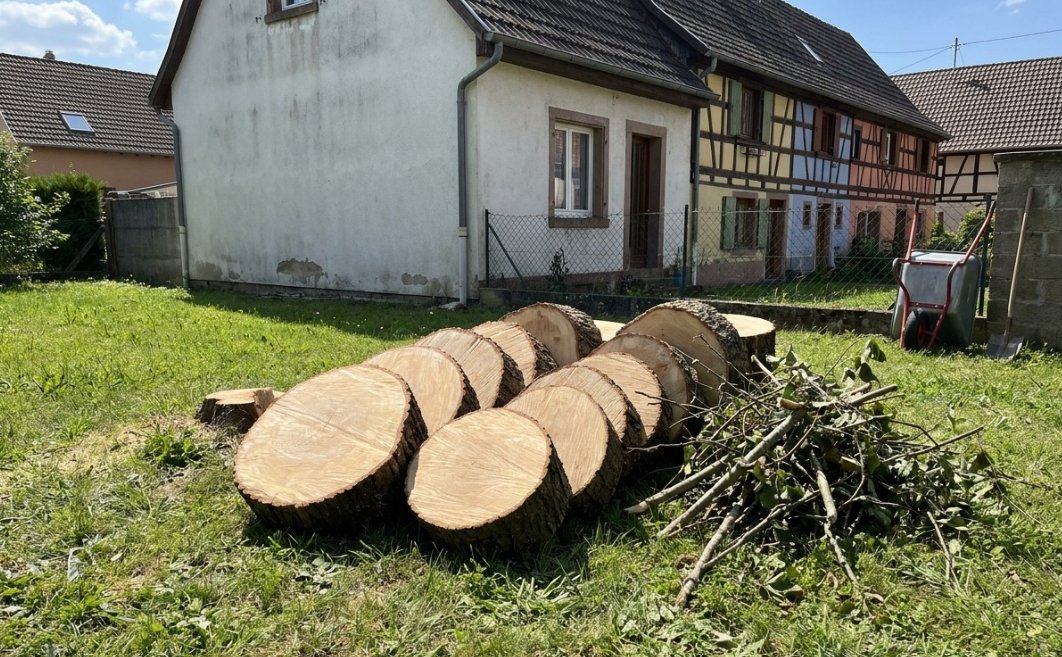 Rondins d'un arbre abattu dans un jardin