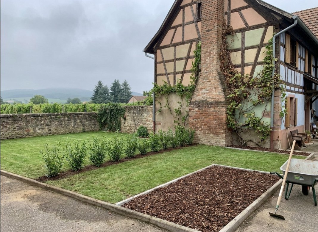 Jardin remis en état avec pelouse et paillage